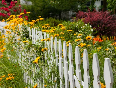 Picket Fence