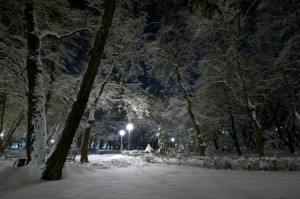 Snow and Moonlight