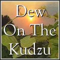 dew-on-the-kudzu