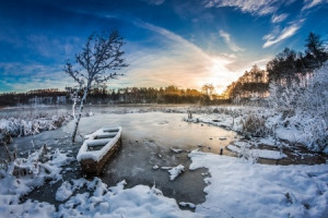 Frozen Pond