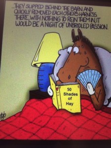 Fifty Shades of Hay